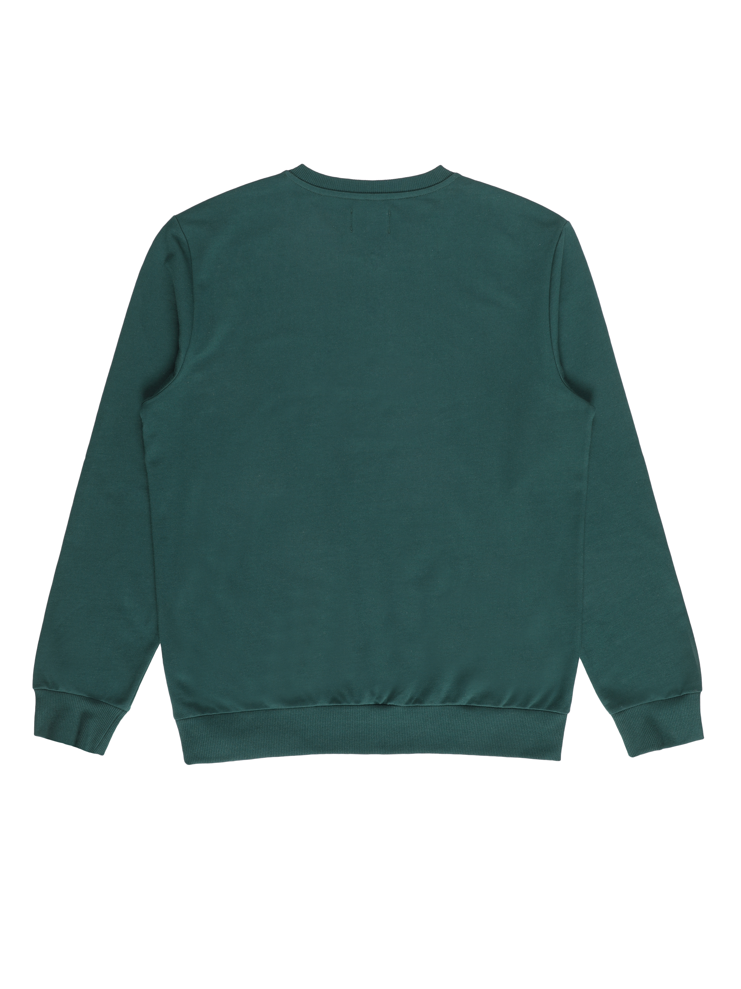 Afișați detalii pentru Hanorac / Bluza De Barbati Verde Regular Fit  Cl1054823