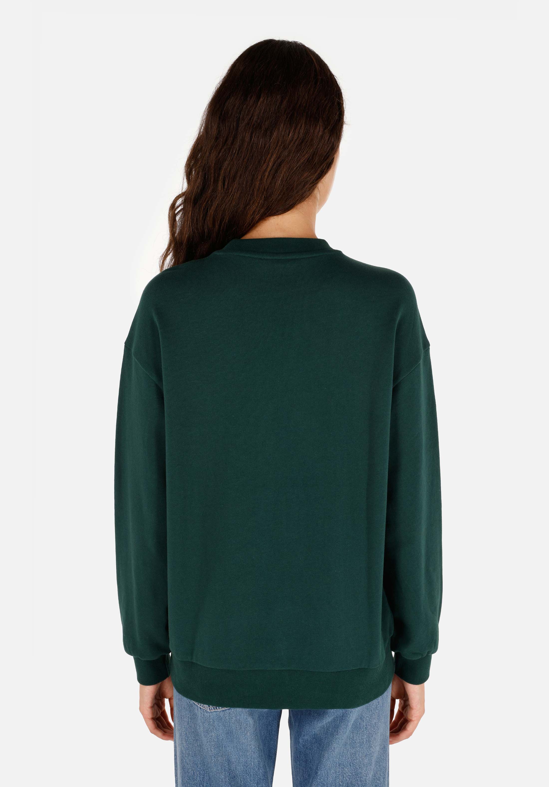 Afișați detalii pentru Regular Fit Round Neck Imprimeu Hanorac Verde Pentru Femei