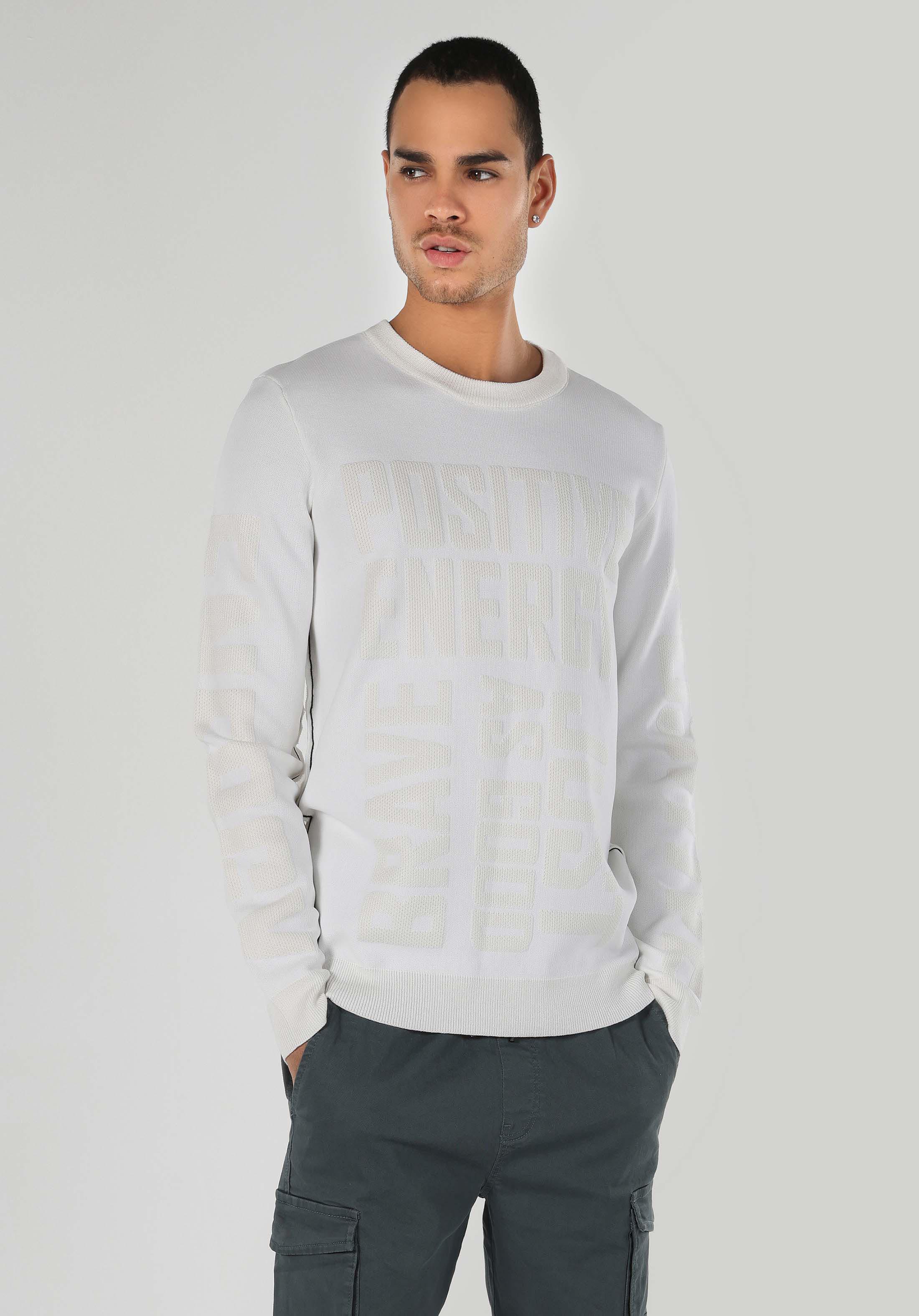 Afișați detalii pentru Pulover Alb Pentru Bărbați Regular Fit Round Neck Jacquard