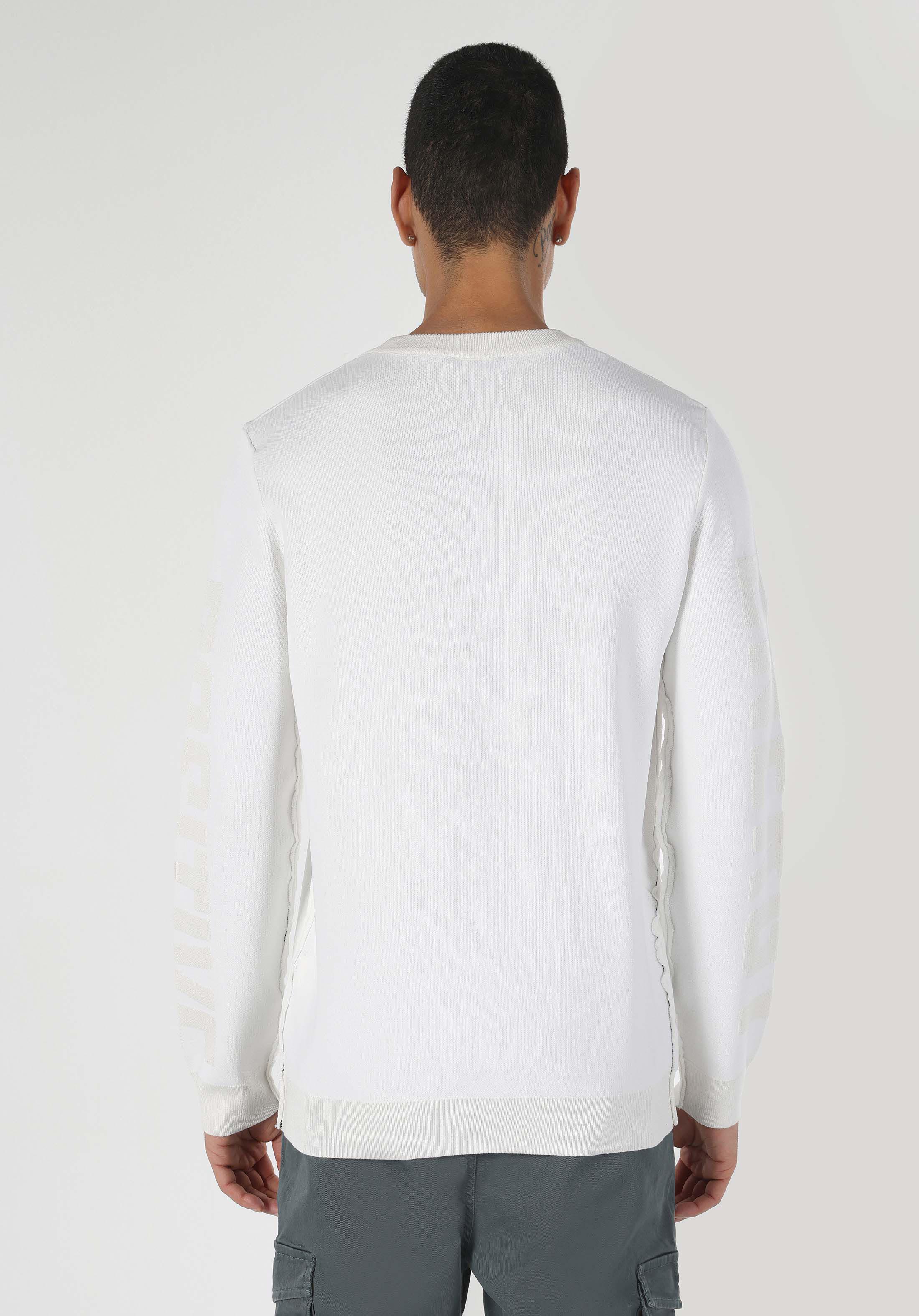 Afișați detalii pentru Pulover Alb Pentru Bărbați Regular Fit Round Neck Jacquard