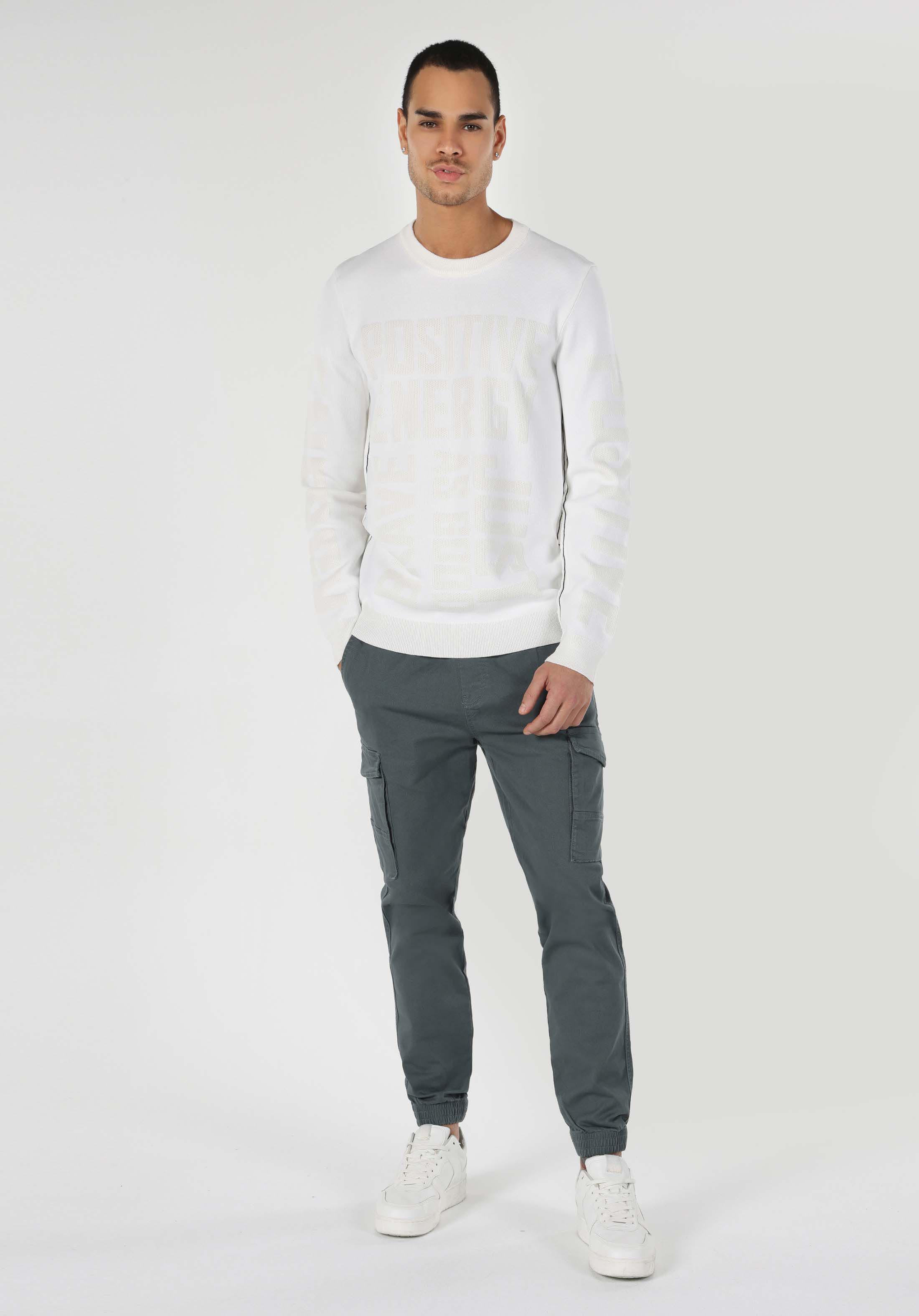 Afișați detalii pentru Pulover Alb Pentru Bărbați Regular Fit Round Neck Jacquard
