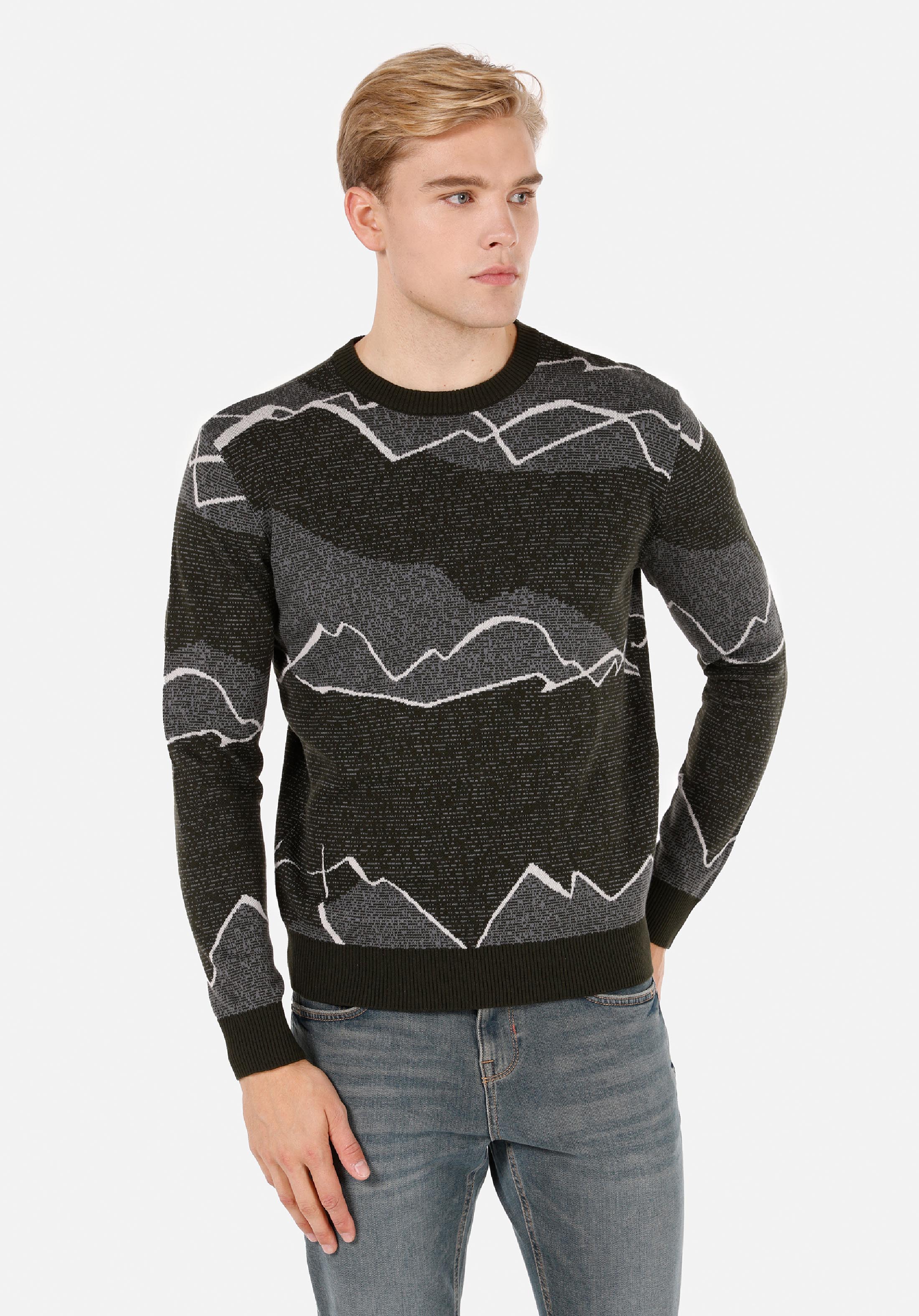 Afișați detalii pentru Pulover Verde Pentru Bărbați Regular Fit Round Neck Jacquard