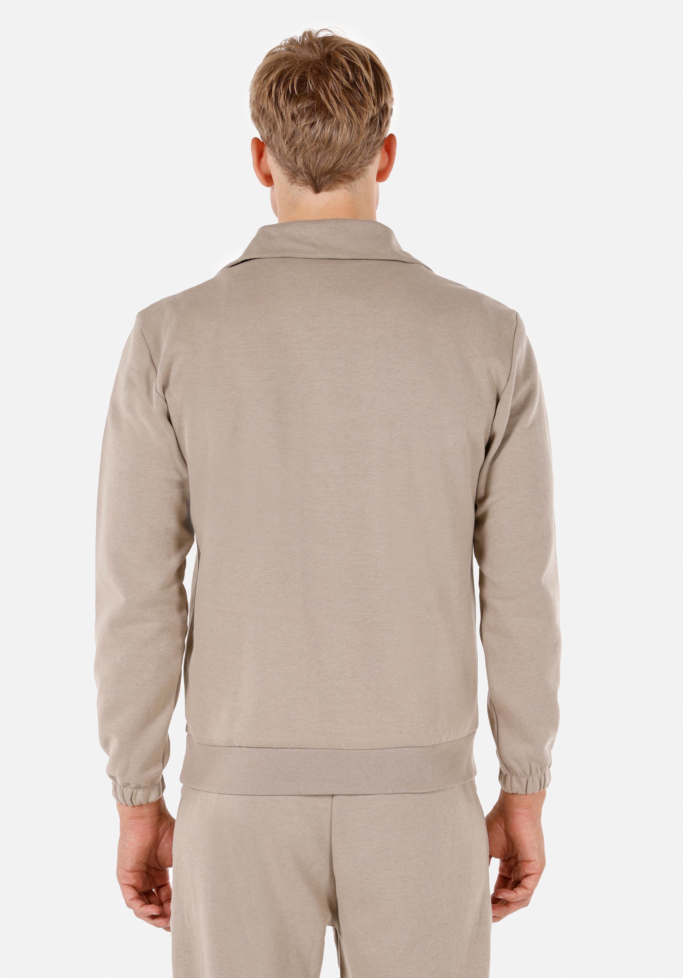 Afișați detalii pentru Hanorac / Bluza De Barbati Bej Regular Fit  Cl1070160