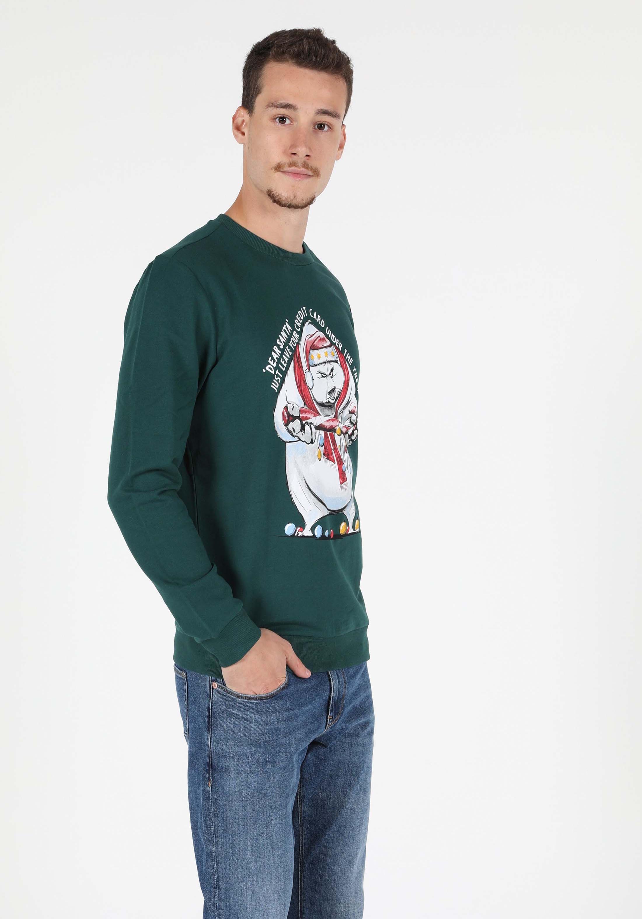 Afișați detalii pentru Hanorac / Bluza De Barbati Verde Regular Fit  Cl1052013