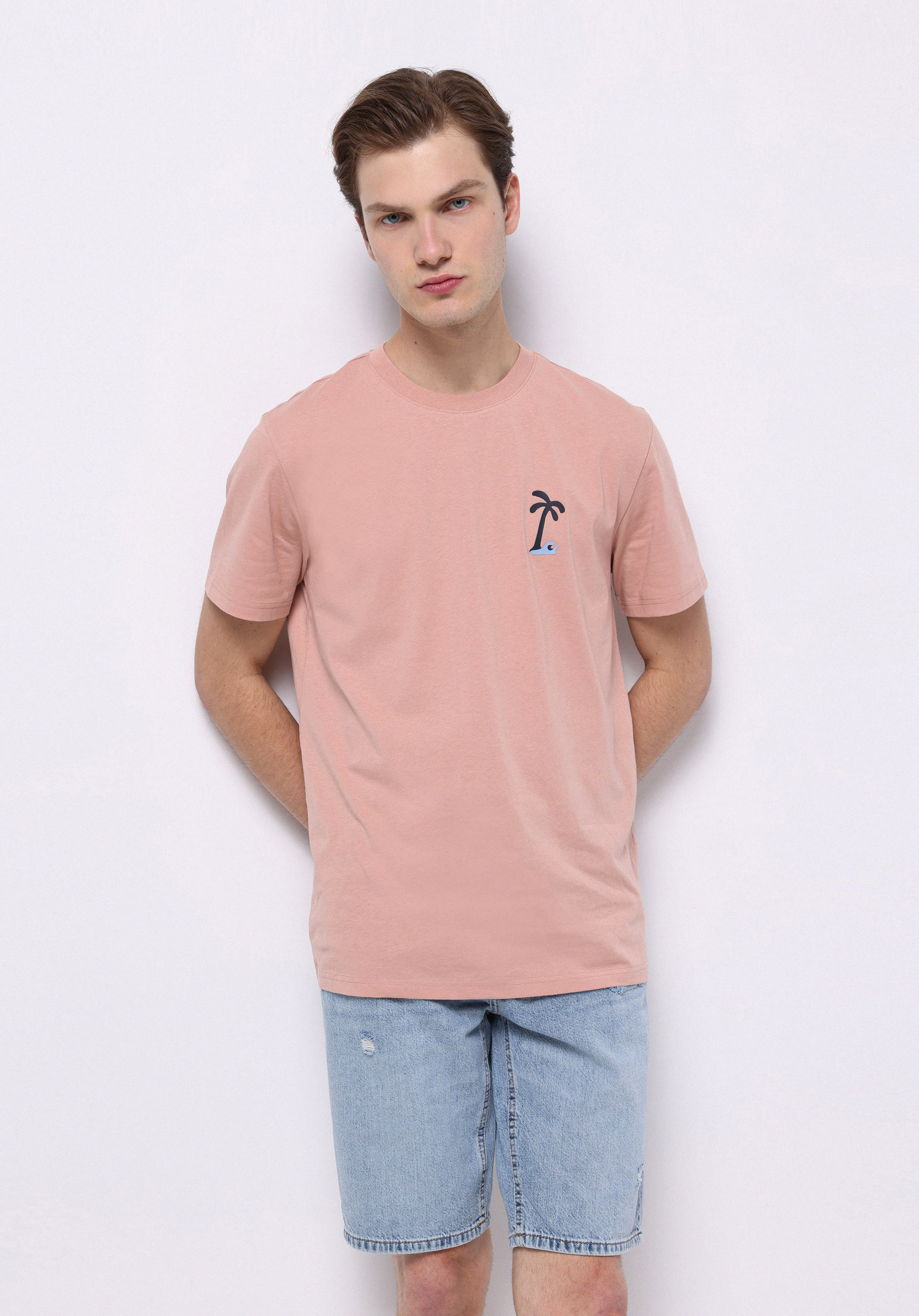 Afișați detalii pentru Tricou Cu Maneca Scurta De Barbati Somon Regular Fit  Cl1074701