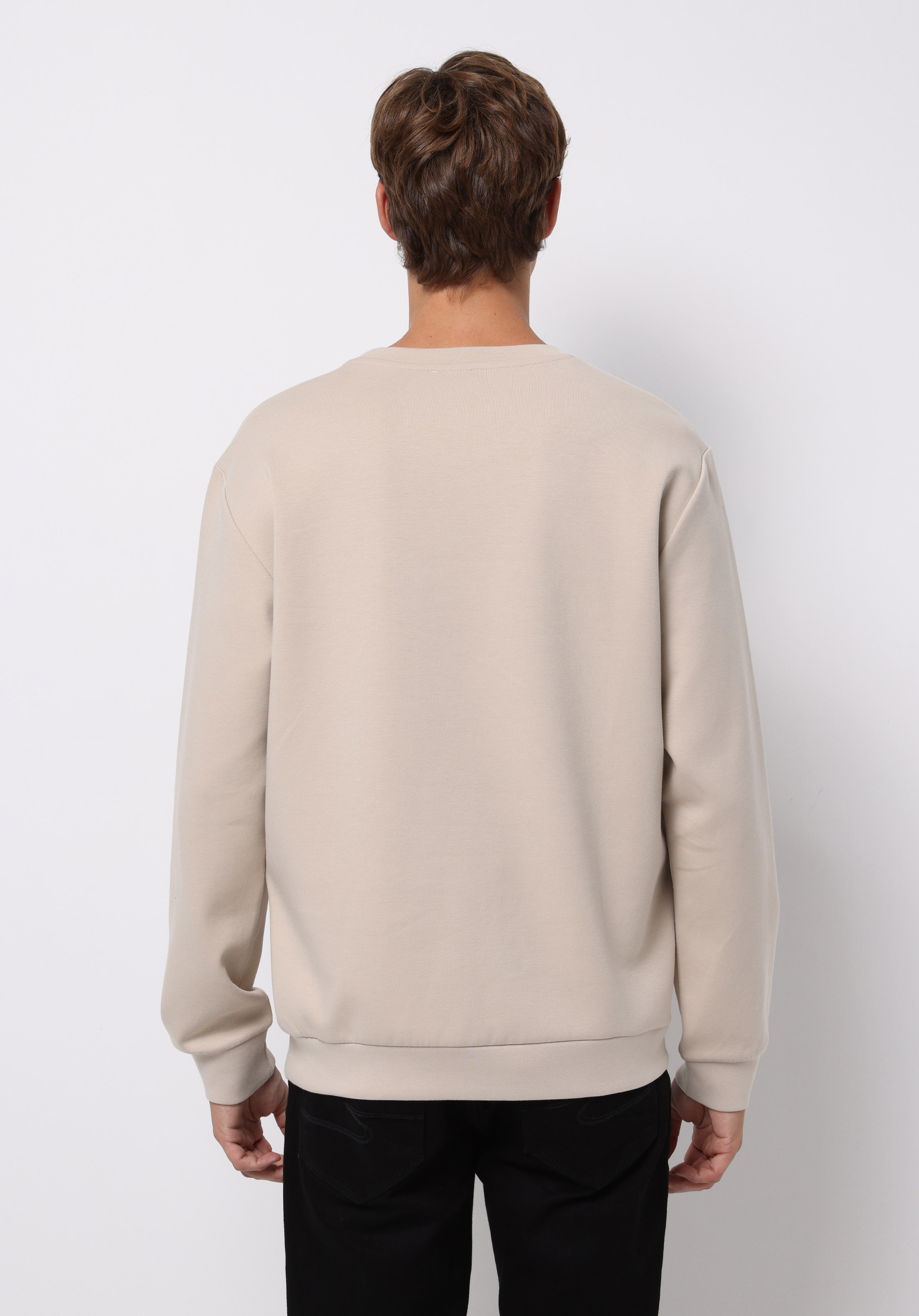 Afișați detalii pentru Hanorac / Bluza De Barbati Bej Regular Fit  Cl1077180