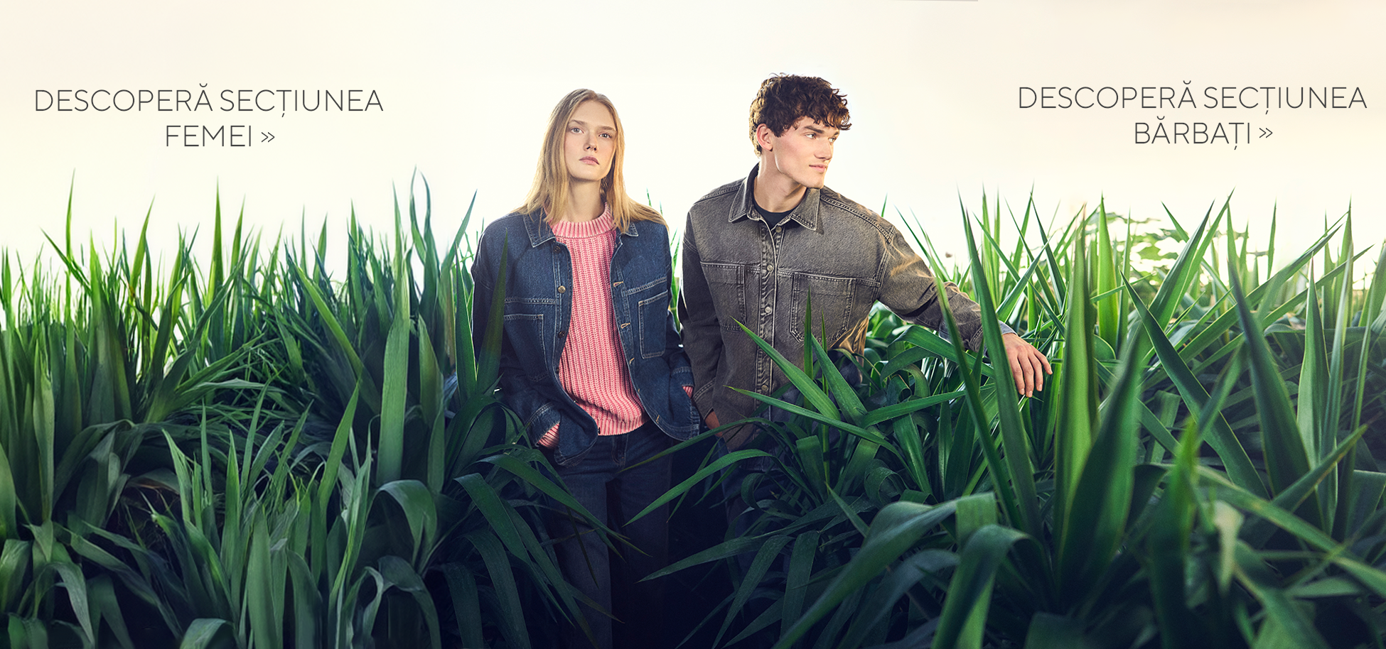 Imagine pentru categoria 