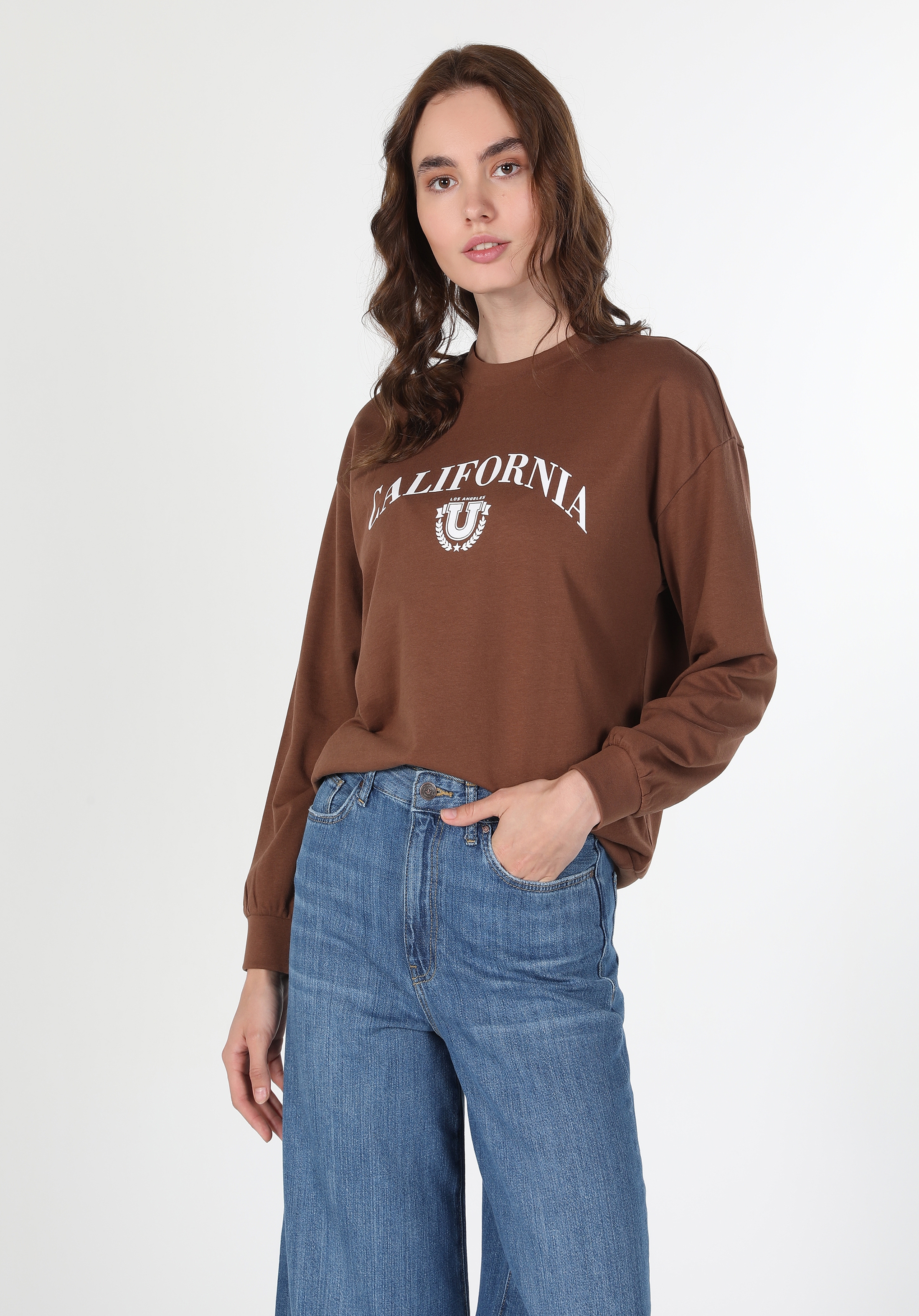 Afișați detalii pentru Swater / Bluza De Dama Maro Regular Fit  CL1060315