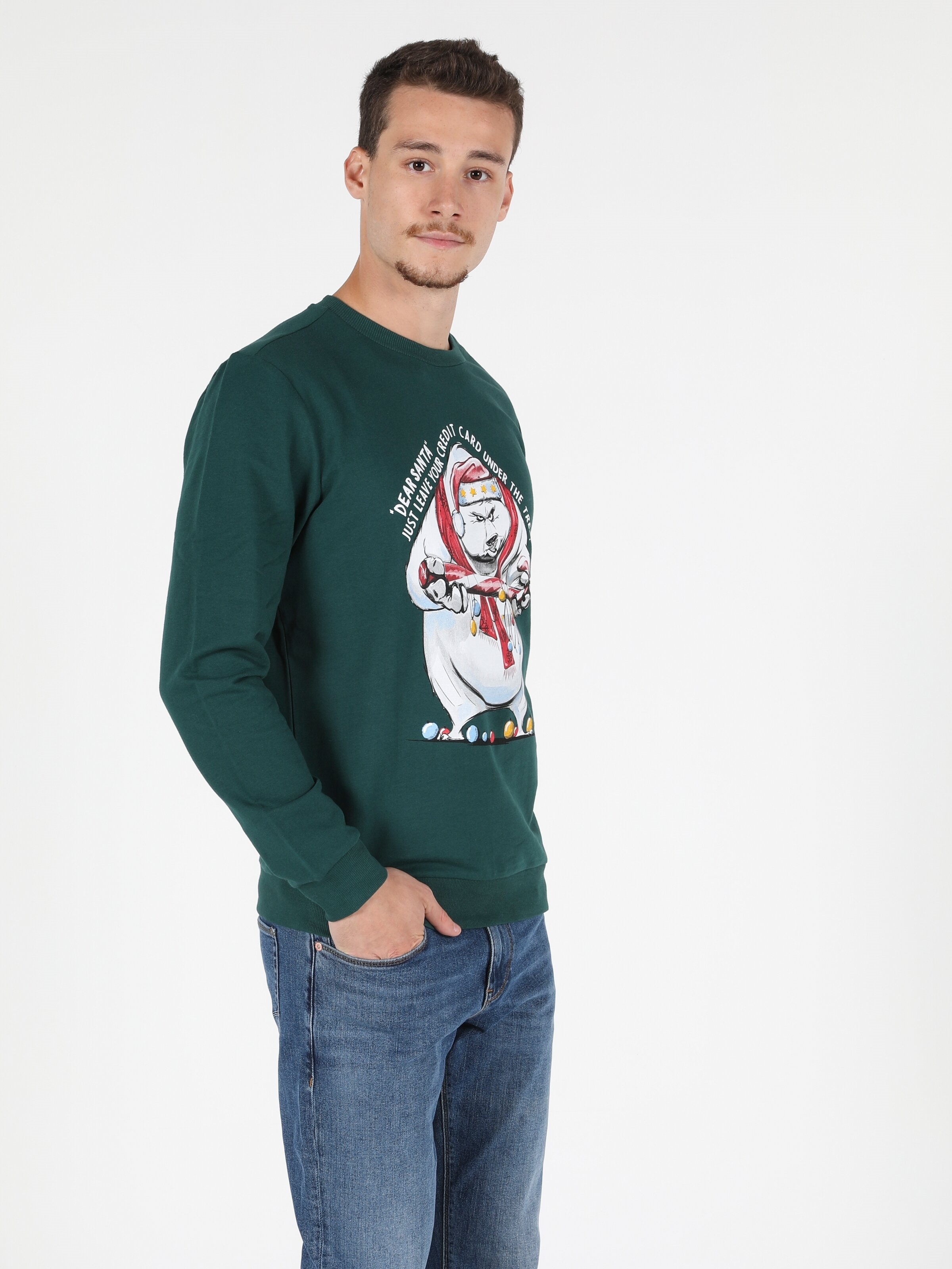 Afișați detalii pentru Swater / Bluza De Barbati Verde Regular Fit 