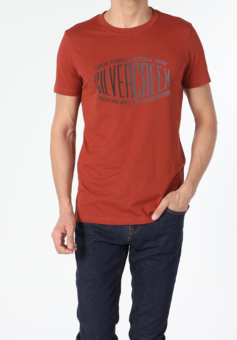 Imagine a Tricou Cu Maneca Scurta De Barbati Maro Regular Fit  Cl1055214