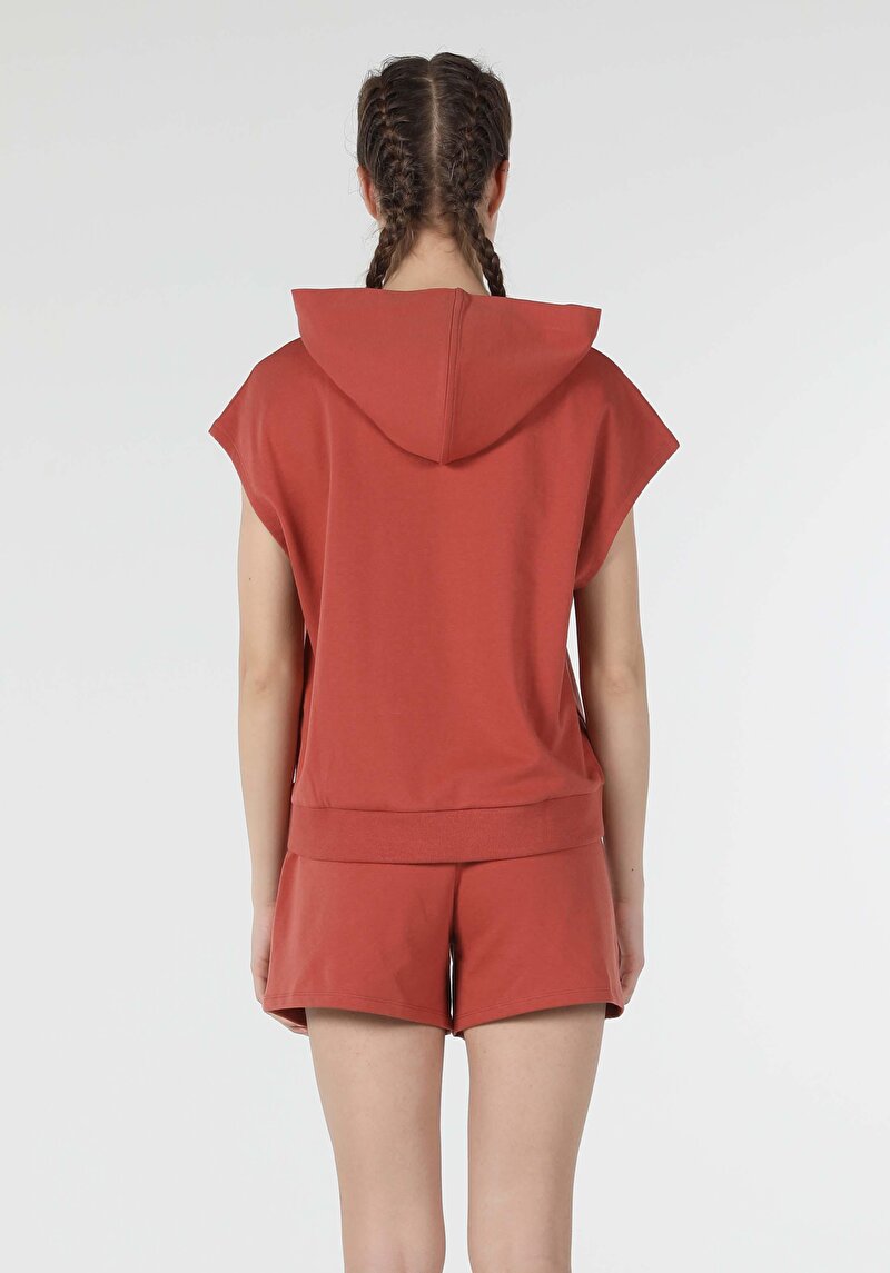 Afișați detalii pentru Hanorac / Bluza De Dama Maro Regular Fit  Cl1058177