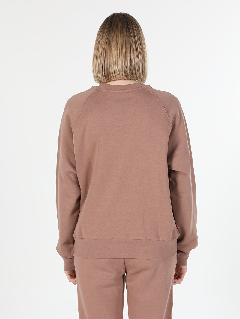 Afișați detalii pentru Hanorac / Bluza De Dama Bej Regular Fit  Cl1060307