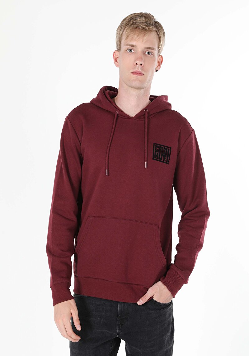 Imagine a Hanorac / Bluza De Barbati Bordo Cl1060903