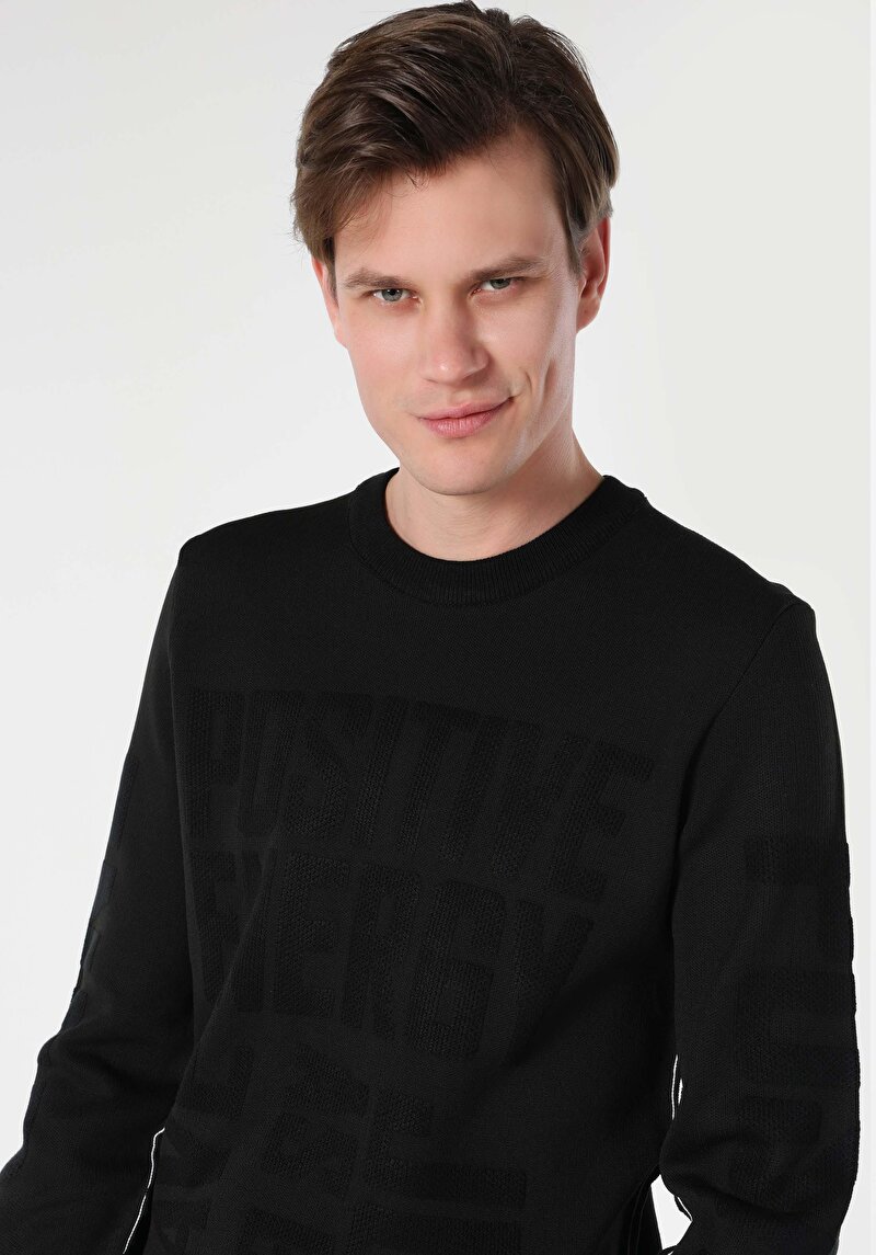 Imagine a Pulover Negru Pentru Bărbați Regular Fit Round Neck Jacquard