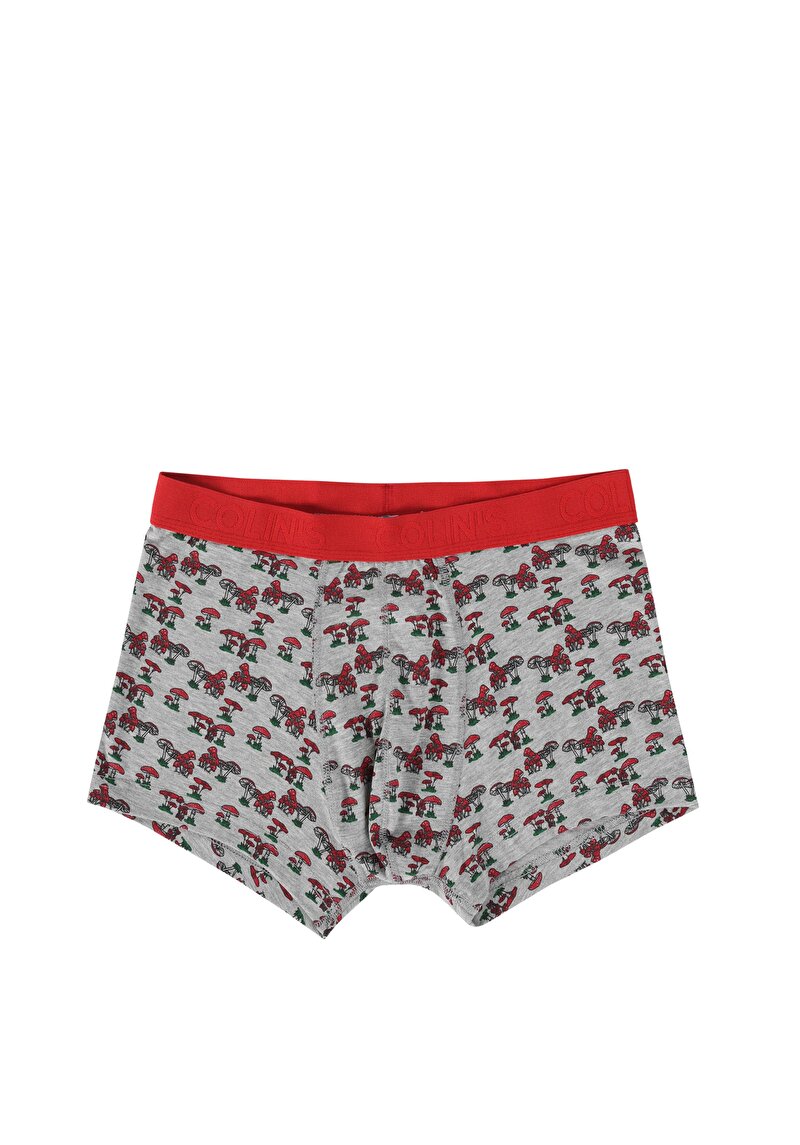 Imagine a Boxer Gri Pentru Bărbați Cu İmprimeu Modern Fit