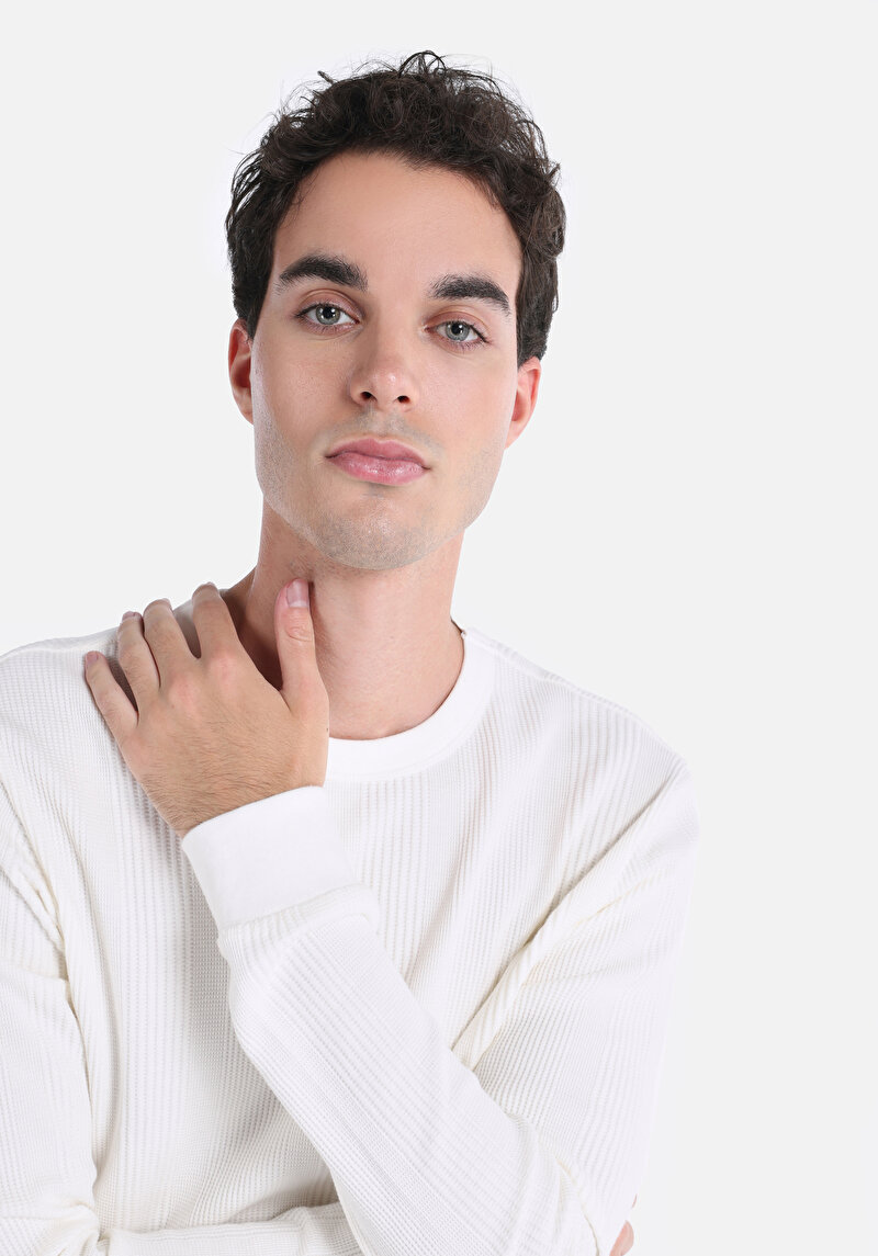 Afișați detalii pentru Tricou Cu Maneca Lunga De Barbati Ecru Regular Fit  Cl1061771