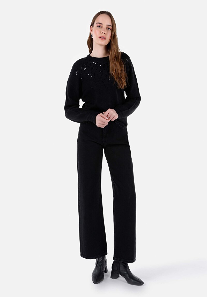 Afișați detalii pentru Regular Fit Round Neck Drept Pulover Negru Pentru Femei