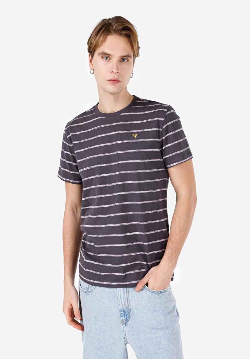 Imagine a Regular Fit Round Neck Striped Tricou Cu Mânecă Scurtă Antracit Pentru Bărbați