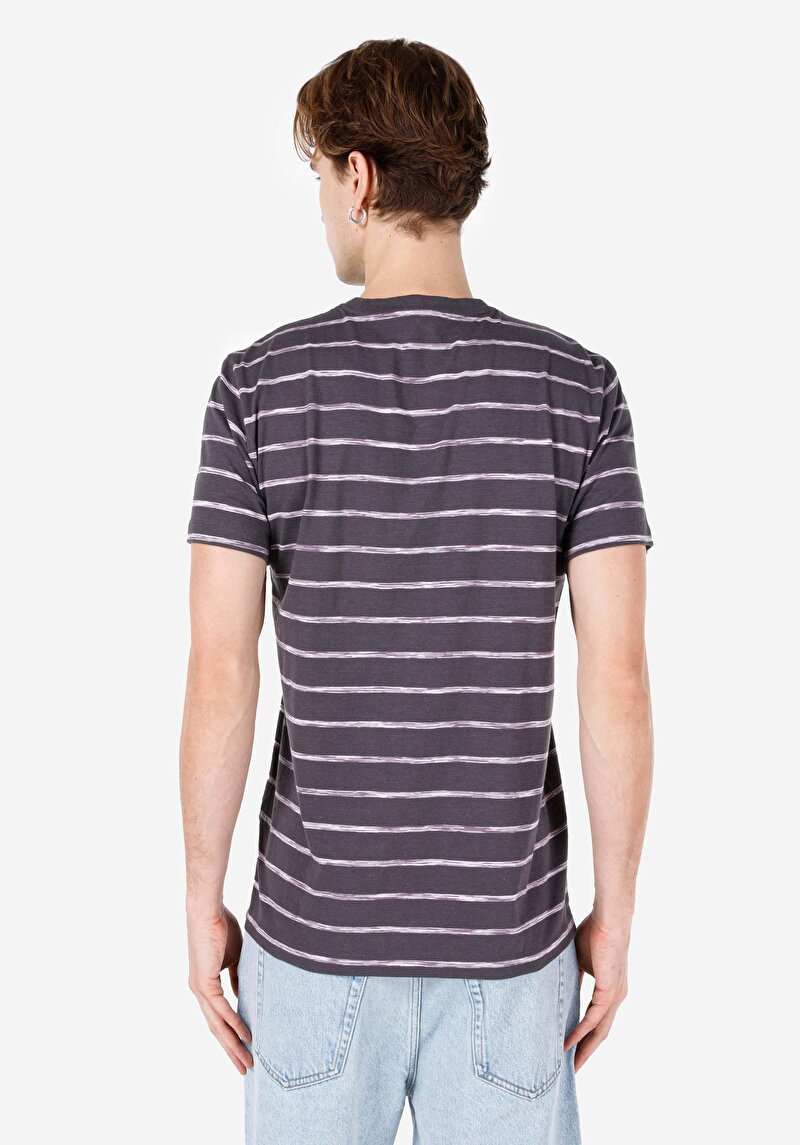 Imagine a Regular Fit Round Neck Striped Tricou Cu Mânecă Scurtă Antracit Pentru Bărbați