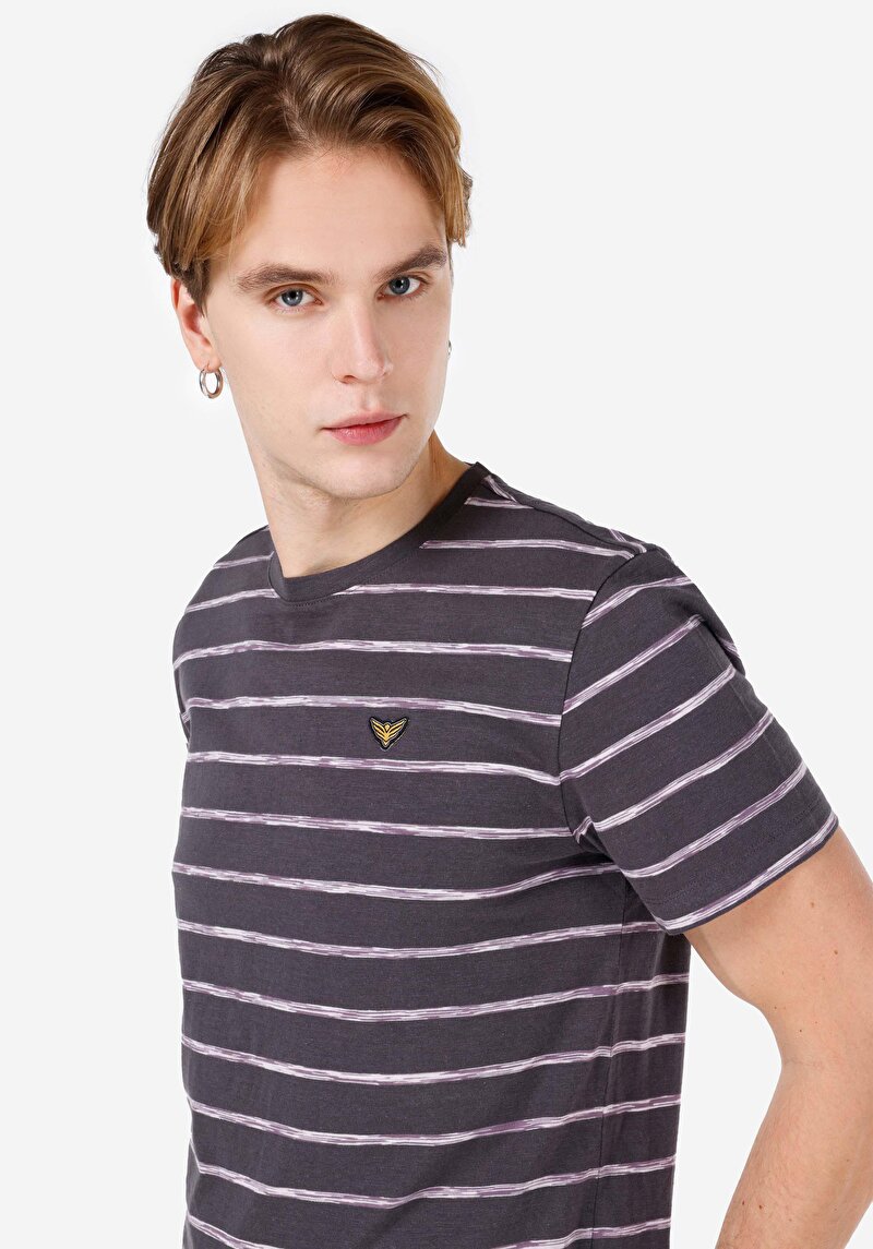 Afișați detalii pentru Regular Fit Round Neck Striped Tricou Cu Mânecă Scurtă Antracit Pentru Bărbați
