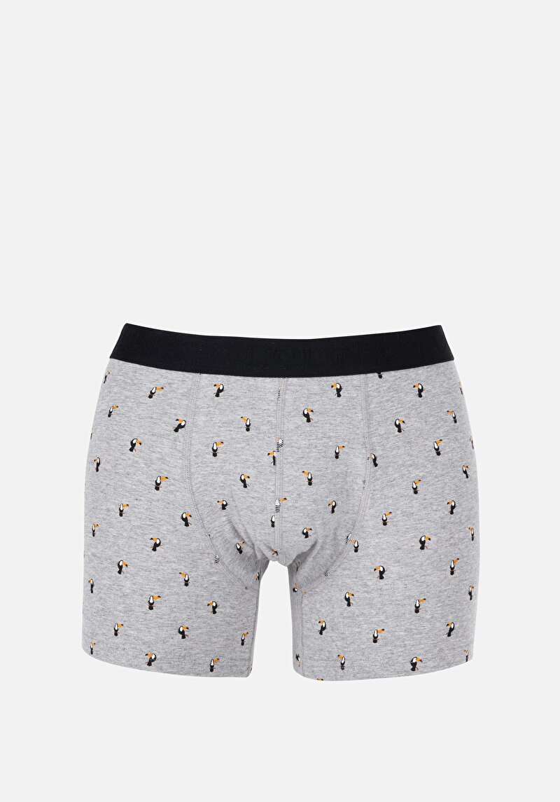 Imagine a Boxer Gri Pentru Bărbați Cu İmprimeu Modern Fit