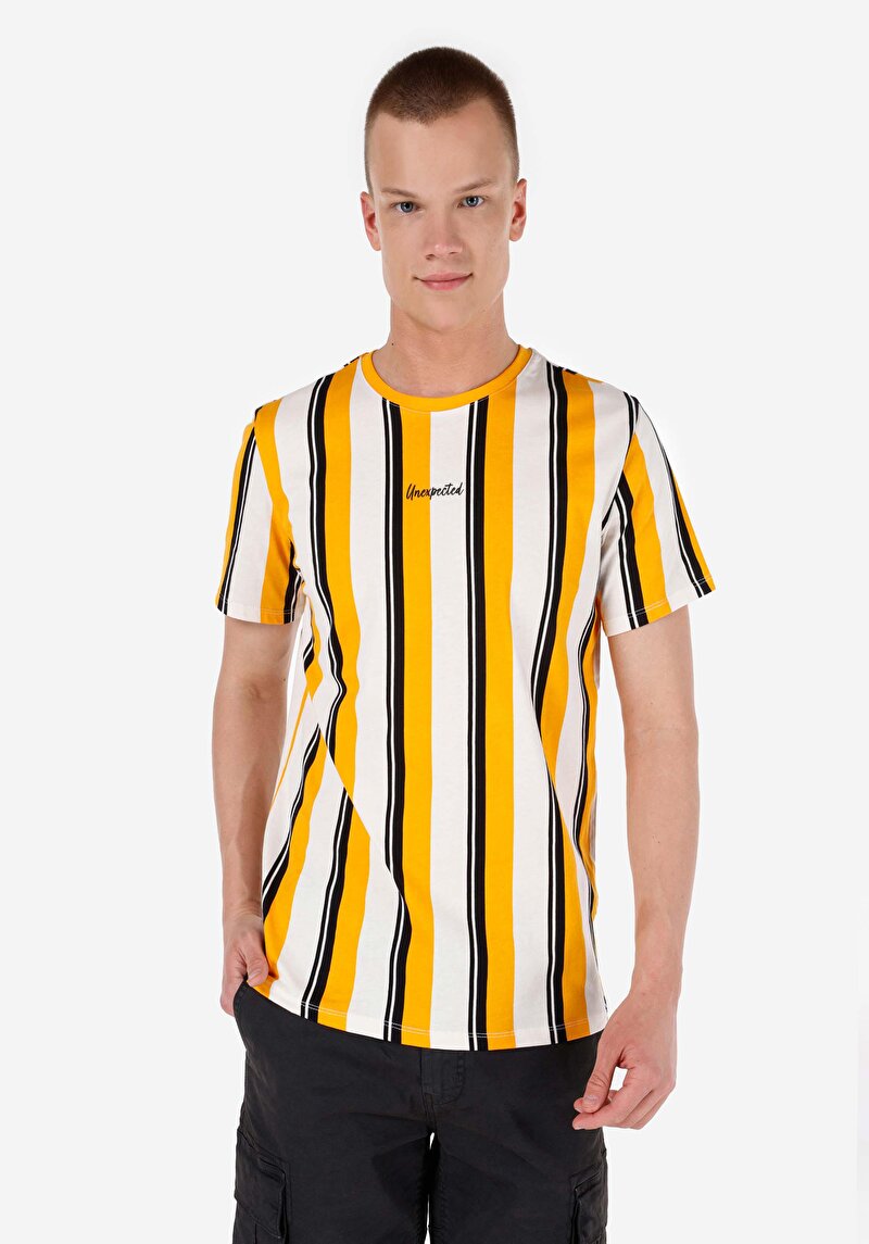 Imagine a Regular Fit Round Neck Striped Bărbați Galben Tricou Cu Mânecă Scurtă
