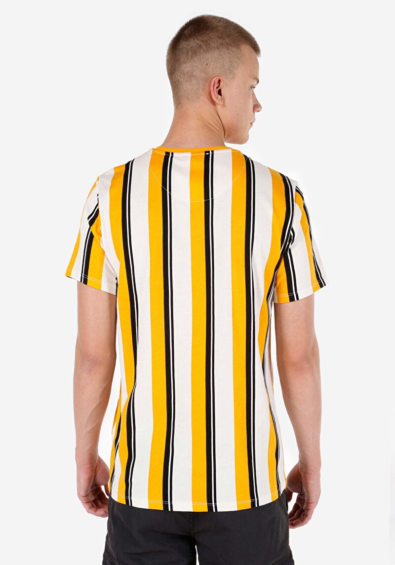 Afișați detalii pentru Regular Fit Round Neck Striped Bărbați Galben Tricou Cu Mânecă Scurtă