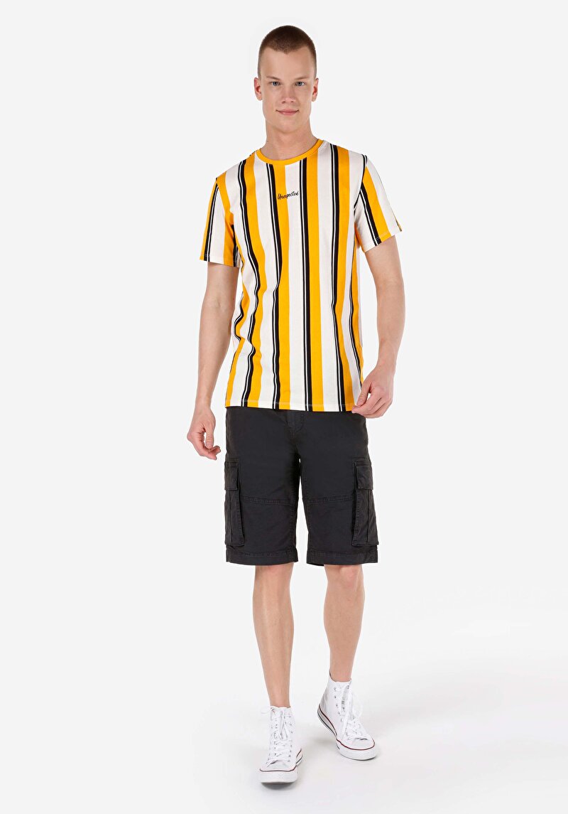 Afișați detalii pentru Regular Fit Round Neck Striped Bărbați Galben Tricou Cu Mânecă Scurtă