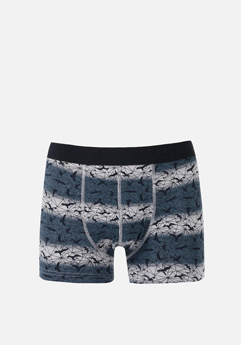 Imagine a Boxer Antracit Pentru Bărbați Cu İmprimeu Modern Fit