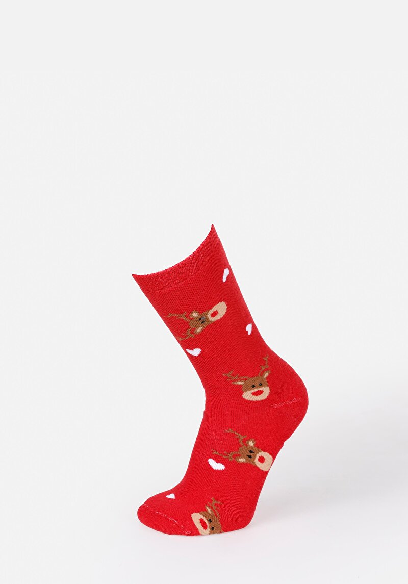 Imagine a Sosete De Dama Roşu Modern Fit  Cl1071571