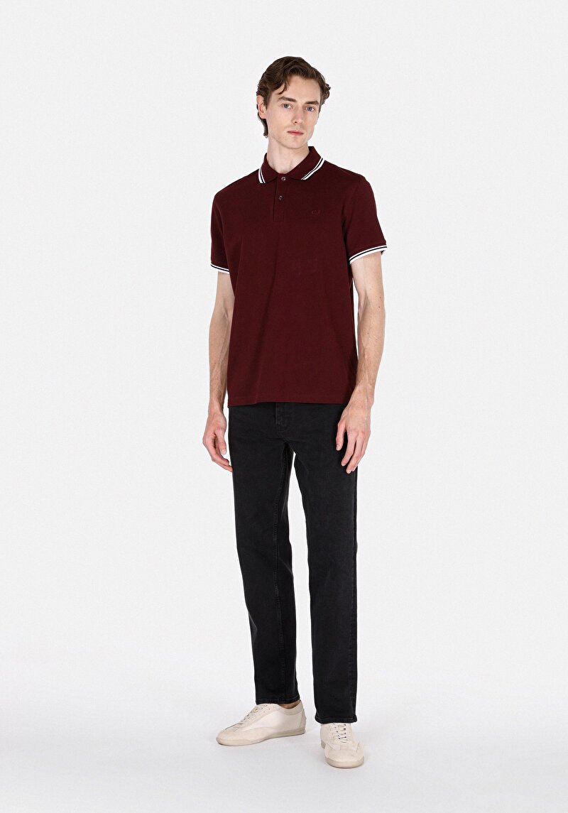 Imagine a Tricou Polo Cu Maneca Scurta De Barbati Mov Regular Fit Cl1074313