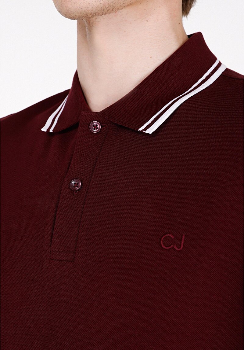 Imagine a Tricou Polo Cu Maneca Scurta De Barbati Mov Regular Fit  Cl1074313