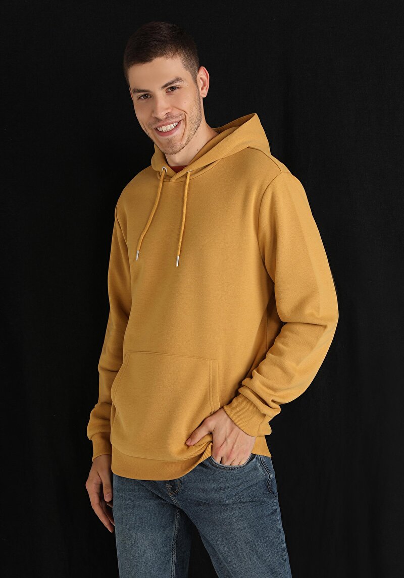 Imagine a Hanorac / Bluza De Barbati Safran Regular Fit Cl1059712