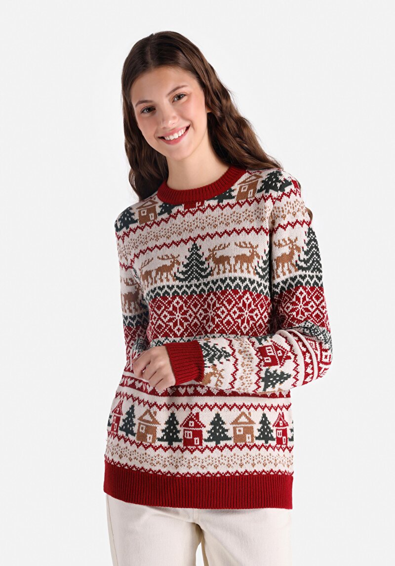 Imagine a Pulover De Dama Bordo Regular Fit  Cl1066278