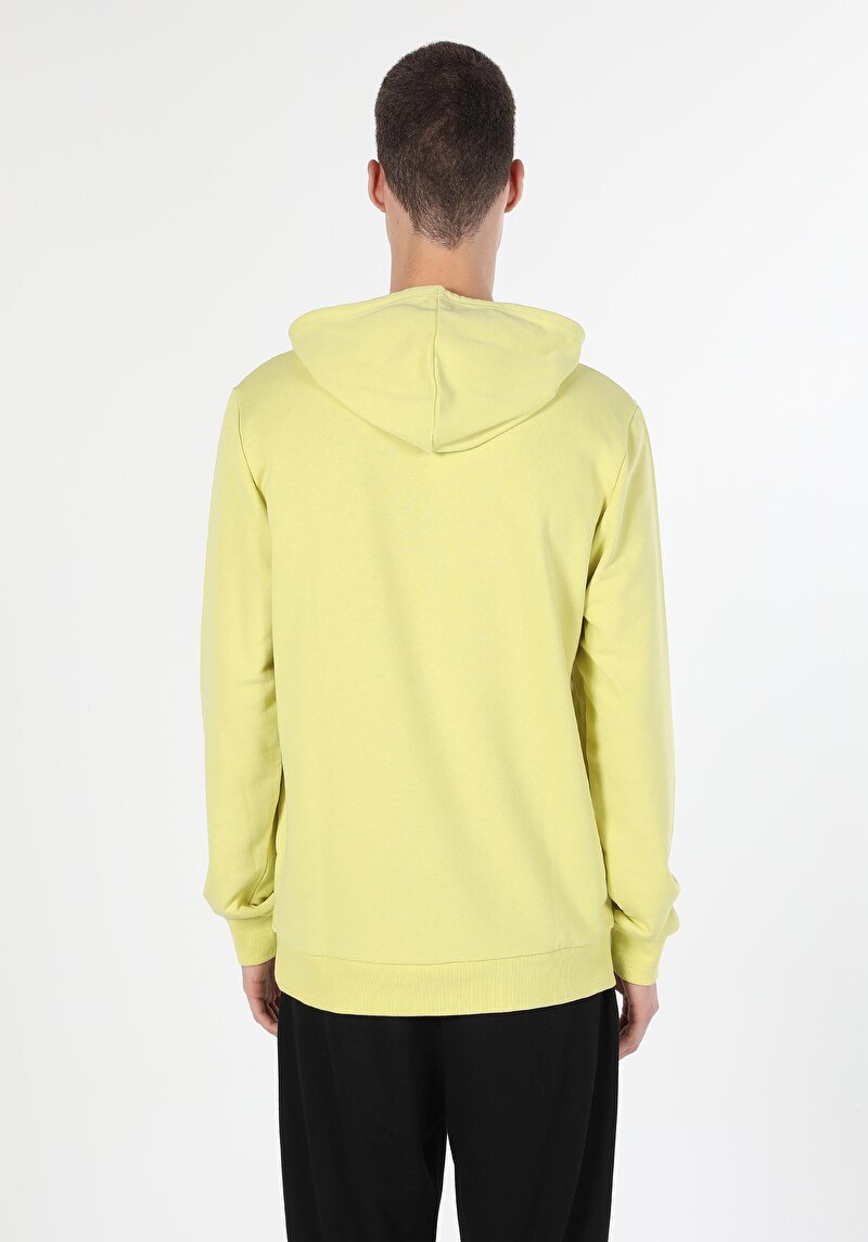 Imagine a Hanorac / Bluza De Barbati Verde Regular Fit Cl1060040