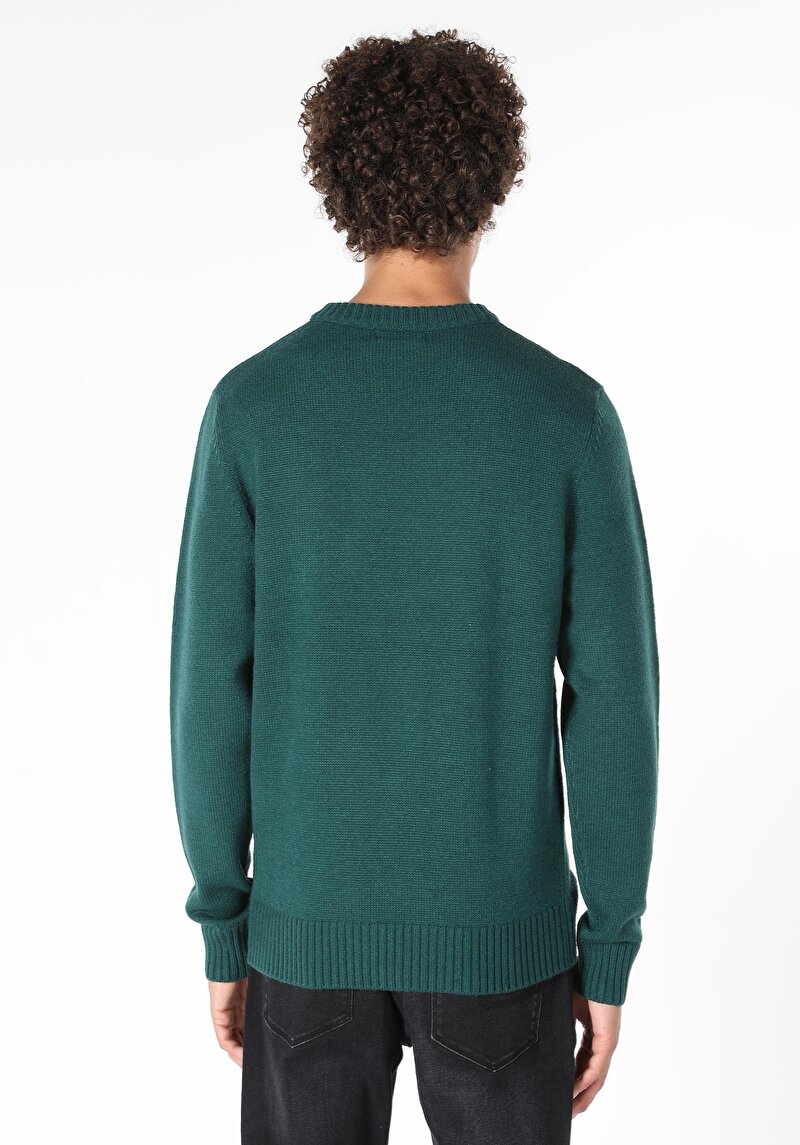 Imagine a Pulover De Barbati Verde Regular Fit Cl1061510