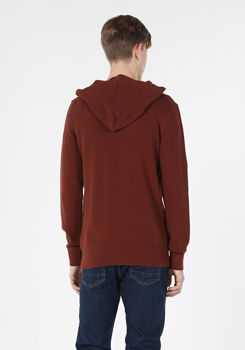 Imagine a Pulover Maro Pentru Bărbați Cu Glugă Regular Fit
