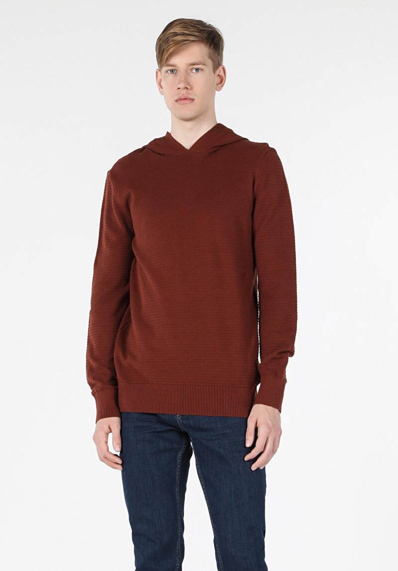 Afișați detalii pentru Pulover Maro Pentru Bărbați Cu Glugă Regular Fit