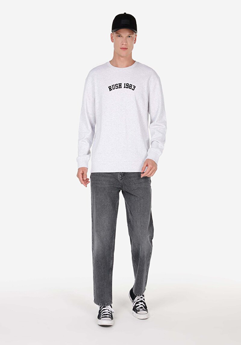 Imagine a Hanorac / Bluza De Barbati Gri Comfort Fit Cl1070654