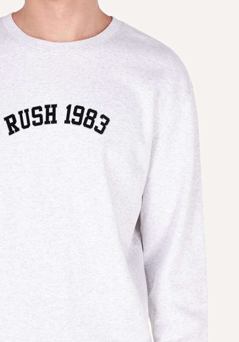 Afișați detalii pentru Hanorac / Bluza De Barbati Gri Comfort Fit  Cl1070654