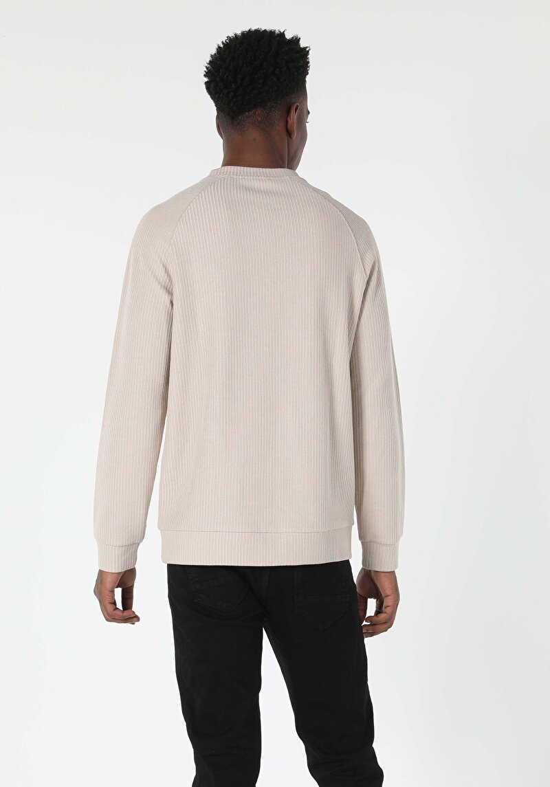 Imagine a Tricou Cu Maneca Lunga De Barbati Bej Regular Fit Cl1057263