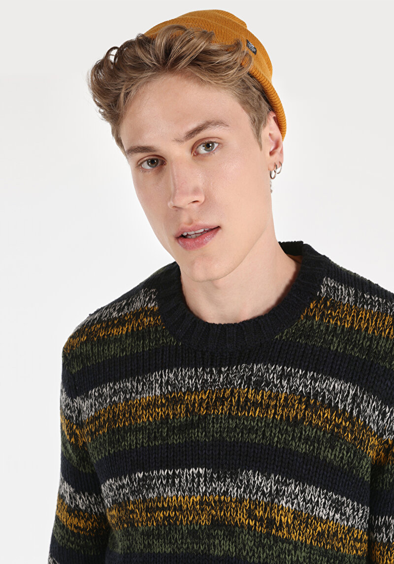 Afișați detalii pentru Pulover Multicolor Pentru Bărbați Regular Fit Round Neck Jacquard