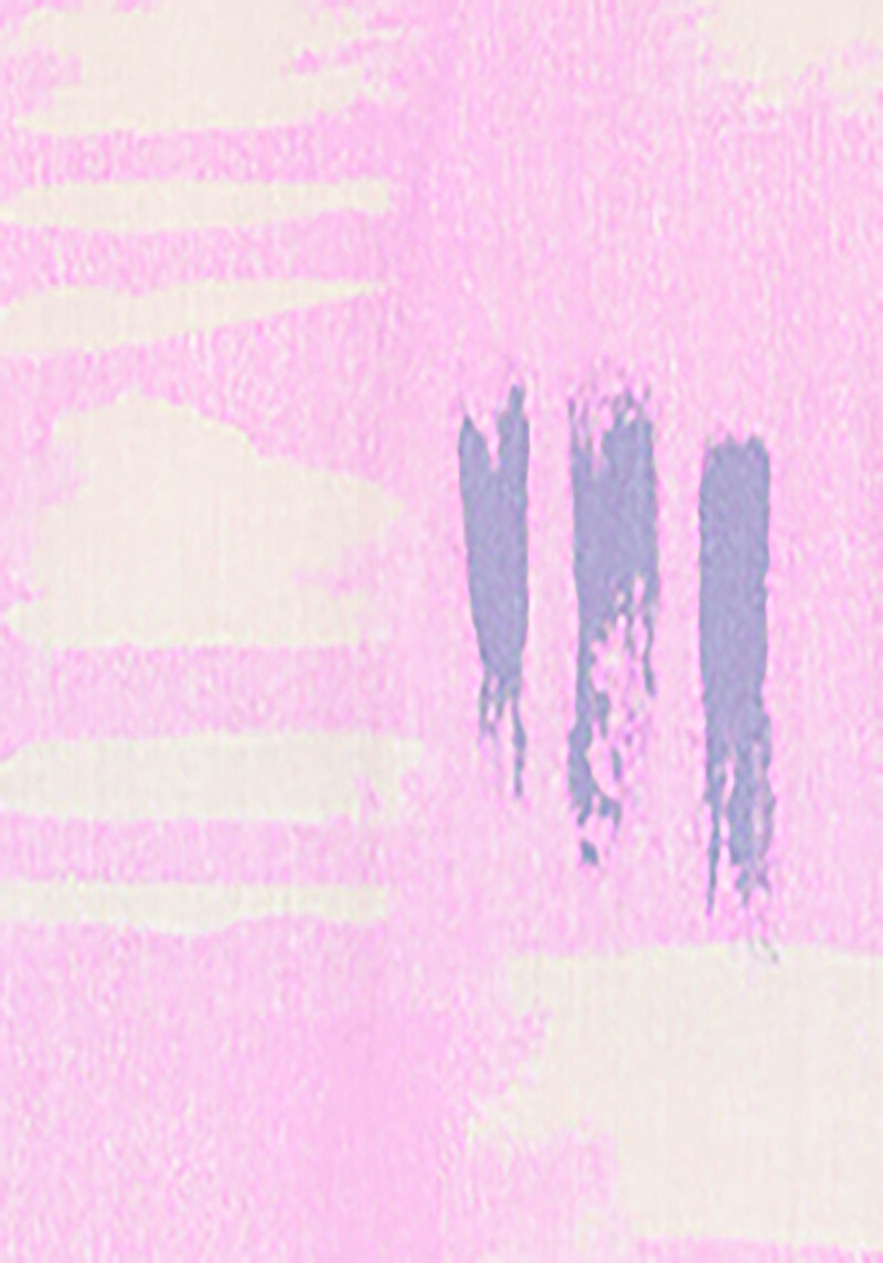 Afișați detalii pentru Cămașă Relax Fit Cămașă Cu Gât İmprimat Cămașă Roz Cu Mânecă Lungă Pentru Femei