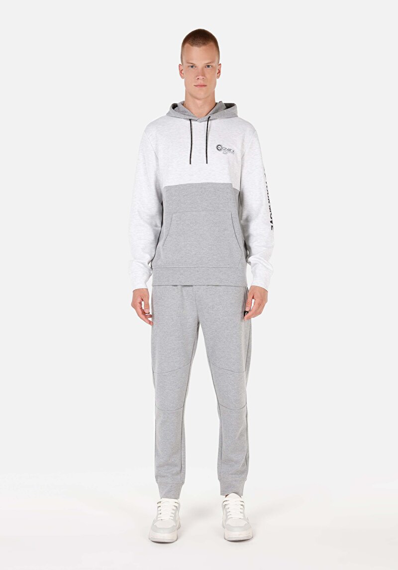 Afișați detalii pentru Hanorac / Bluza De Barbati Gri Regular Fit  Cl1070125