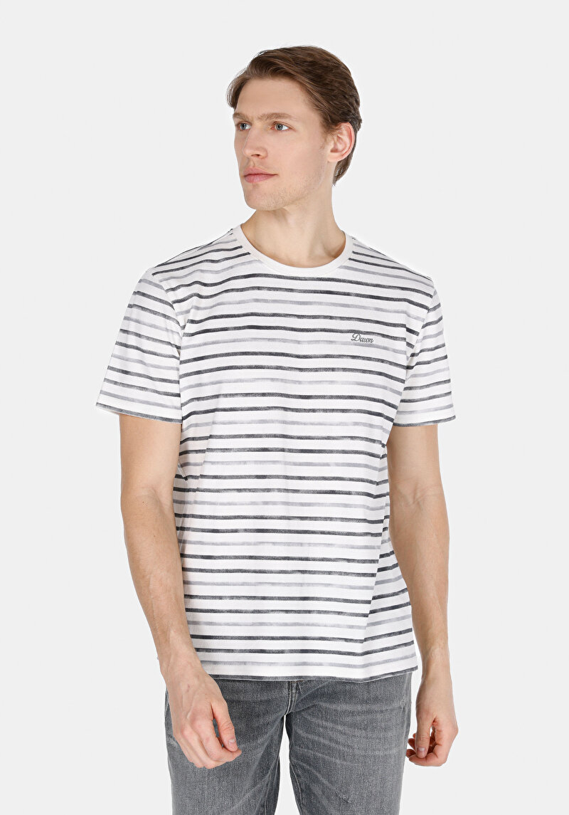 Imagine a Regular Fit Round Neck Striped Bărbați Gri Tricou Cu Mânecă Scurtă