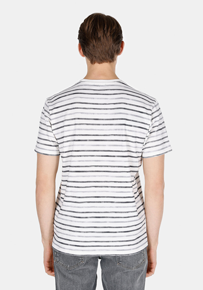 Imagine a Regular Fit Round Neck Striped Bărbați Gri Tricou Cu Mânecă Scurtă