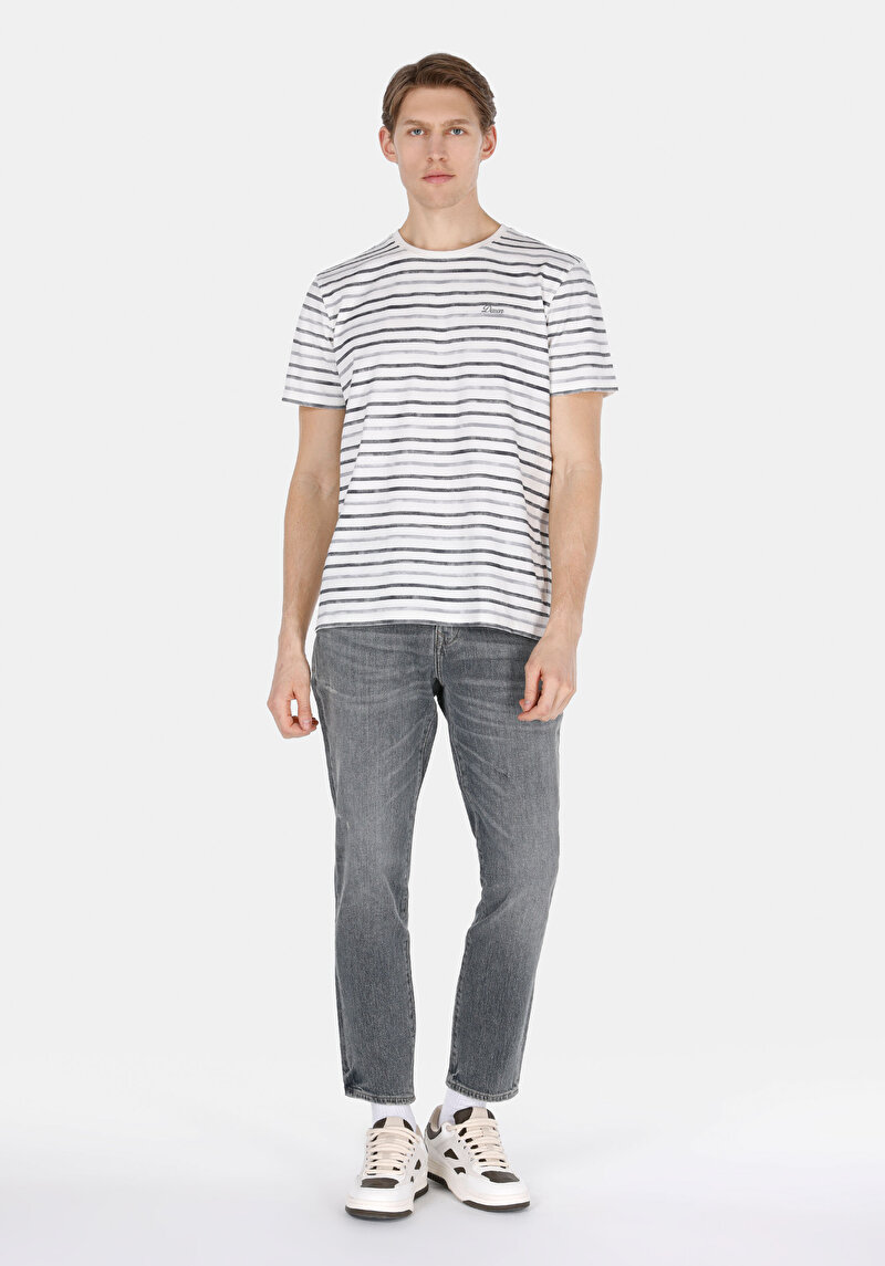 Imagine a Regular Fit Round Neck Striped Bărbați Gri Tricou Cu Mânecă Scurtă