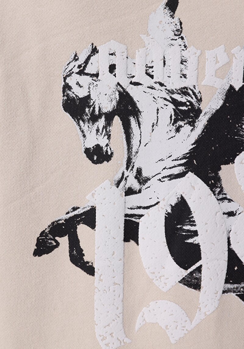 Afișați detalii pentru Hanorac / Bluza De Barbati Bej Comfort Fit  Cl1072048