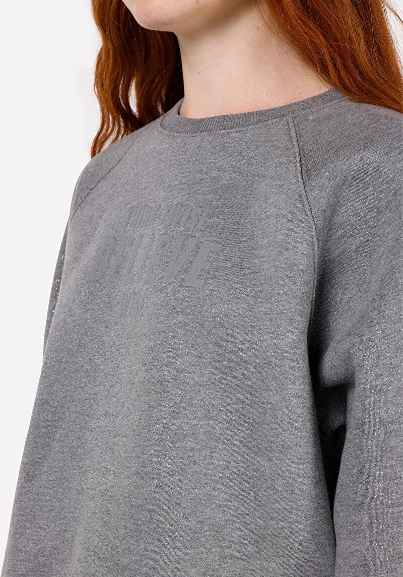 Afișați detalii pentru Regular Fit Round Collar Imprimat Hanorac Gri Pentru Femei