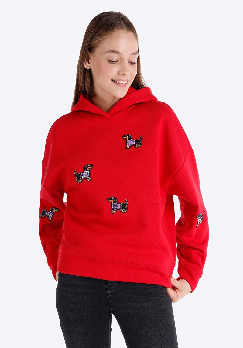 Imagine a Hanorac / Bluza De Dama Roşu Regular Fit  Cl1066314